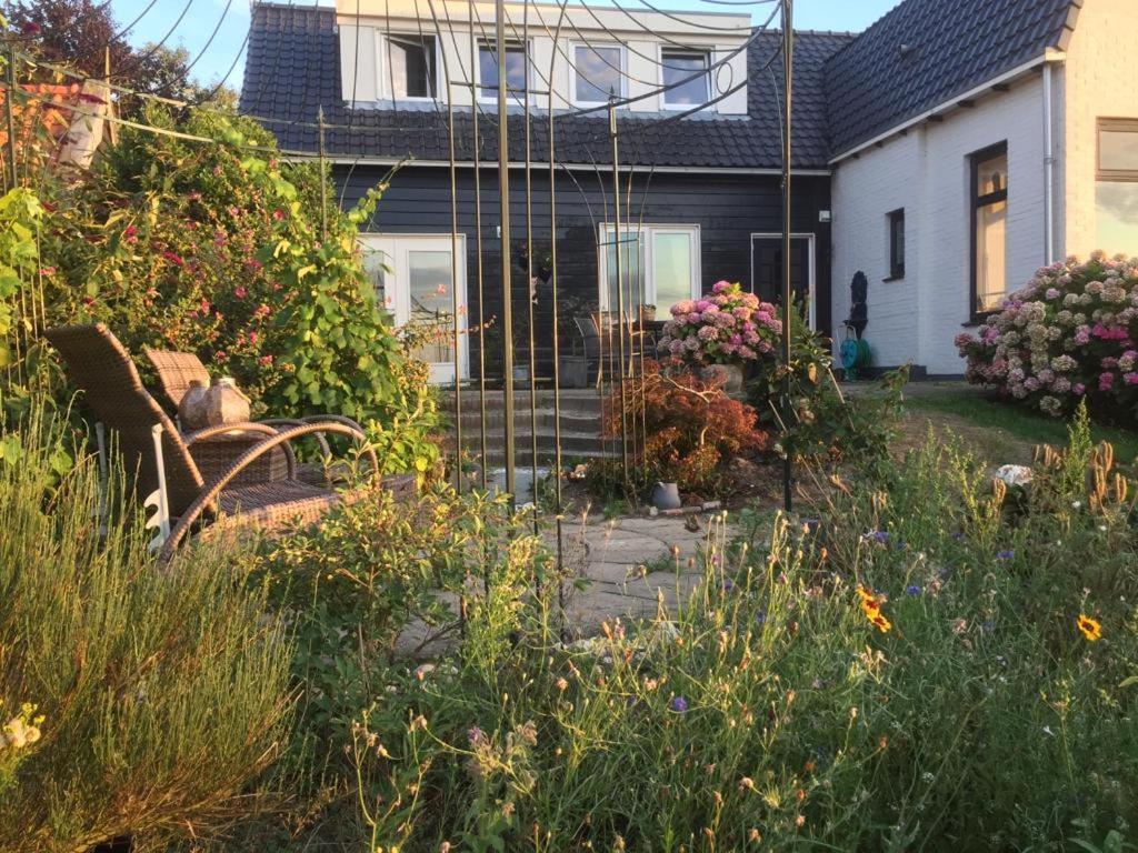 T Huuske Tuinappartement Met Fantastisch Uitzicht, Nabij Zee Zonnemaire Bagian luar foto