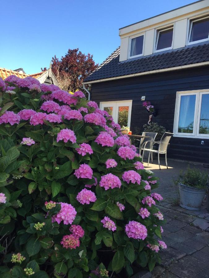 T Huuske Tuinappartement Met Fantastisch Uitzicht, Nabij Zee Zonnemaire Bagian luar foto