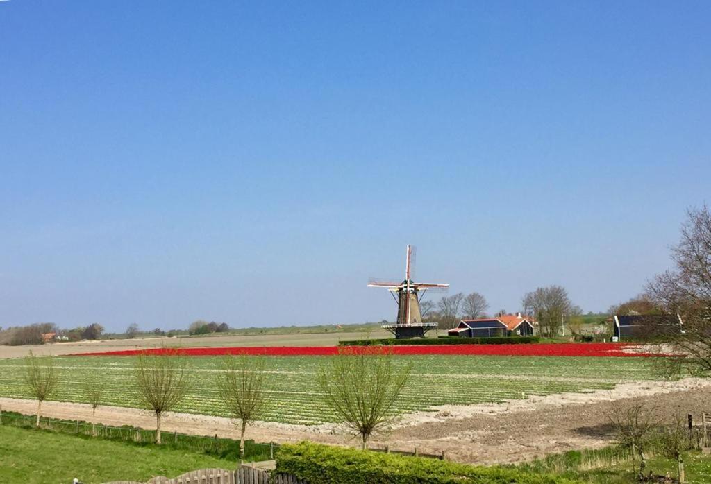 T Huuske Tuinappartement Met Fantastisch Uitzicht, Nabij Zee Zonnemaire Bagian luar foto